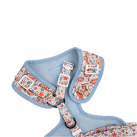 ADJUSTABLE DOG HARNESS (WITH NECK CLIP): Rodeo King