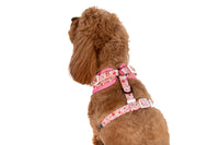 ADJUSTABLE DOG HARNESS (WITH NECK CLIP): Rodeo Queen