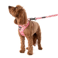 ADJUSTABLE DOG HARNESS (WITH NECK CLIP): Rodeo Queen