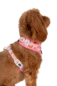 ADJUSTABLE DOG HARNESS (WITH NECK CLIP): Rodeo Queen