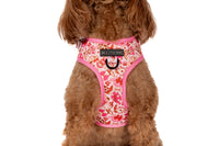 ADJUSTABLE DOG HARNESS (WITH NECK CLIP): Rodeo Queen