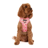 ADJUSTABLE DOG HARNESS (WITH NECK CLIP): Rodeo Queen
