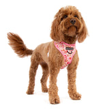 ADJUSTABLE DOG HARNESS (WITH NECK CLIP): Rodeo Queen