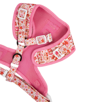 ADJUSTABLE DOG HARNESS (WITH NECK CLIP): Rodeo Queen