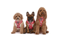 ADJUSTABLE DOG HARNESS: Santa's Cookies {FINAL SALE}