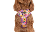 ADJUSTABLE DOG HARNESS: Spring Fling
