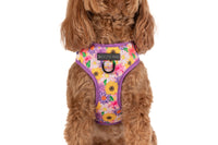ADJUSTABLE DOG HARNESS: Spring Fling