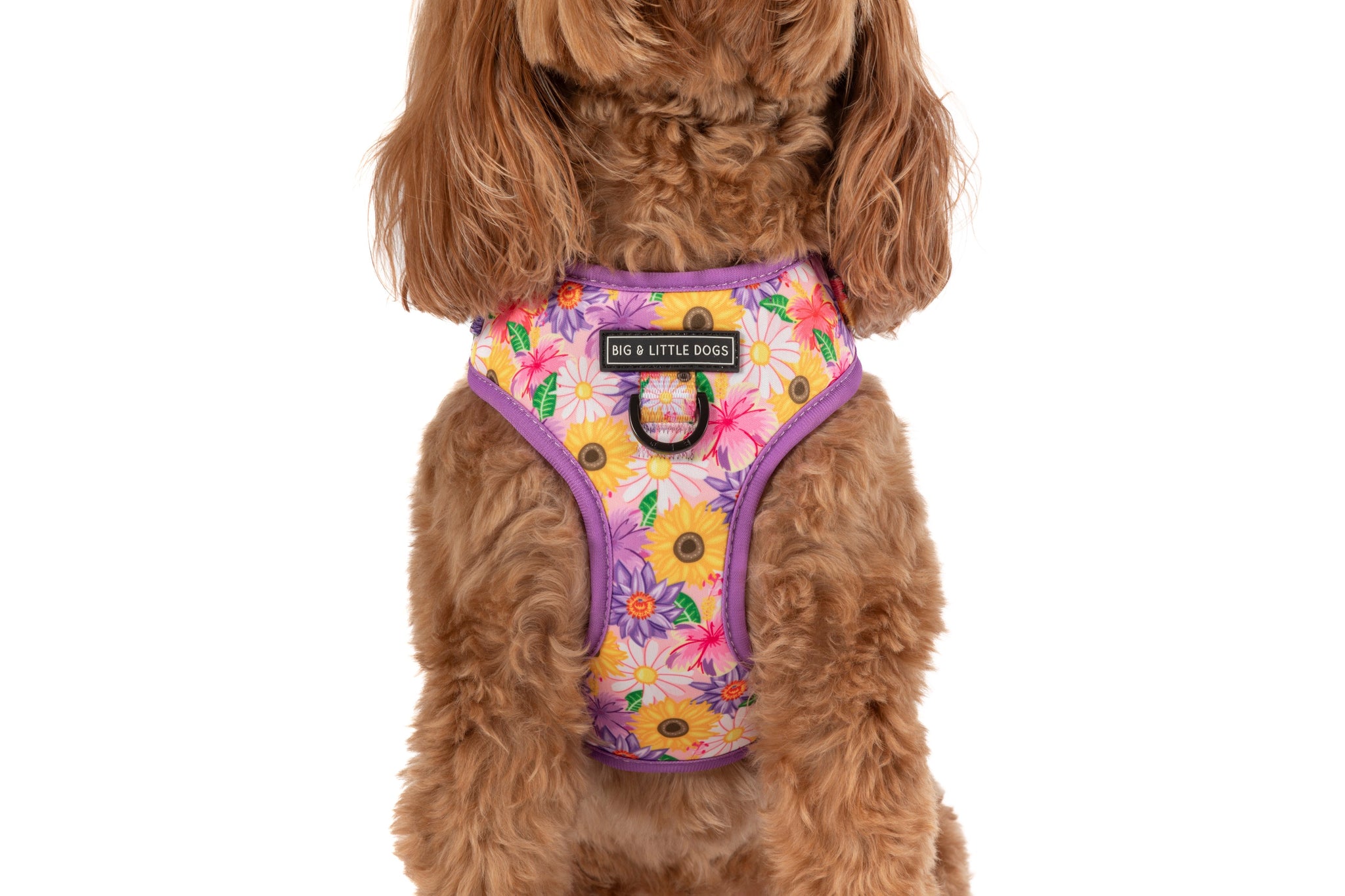ADJUSTABLE DOG HARNESS: Spring Fling