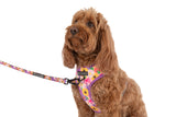 ADJUSTABLE DOG HARNESS: Spring Fling