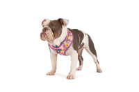 ADJUSTABLE DOG HARNESS: Spring Fling