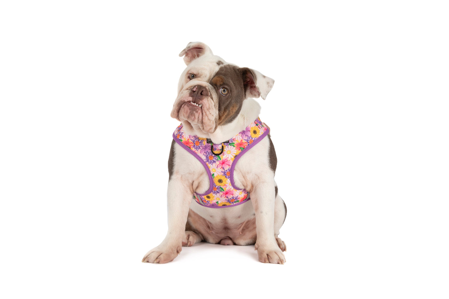 ADJUSTABLE DOG HARNESS: Spring Fling