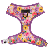 ADJUSTABLE DOG HARNESS: Spring Fling