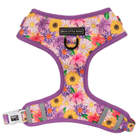 ADJUSTABLE DOG HARNESS: Spring Fling