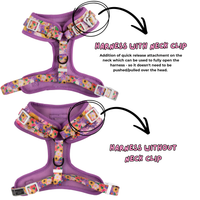ADJUSTABLE DOG HARNESS (with NECK CLIP option): Spring Fling