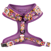 ADJUSTABLE DOG HARNESS: Spring Fling