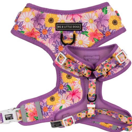 ADJUSTABLE DOG HARNESS (with NECK CLIP option): Spring Fling