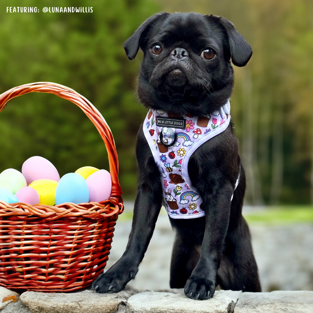 ADJUSTABLE DOG HARNESS: Yappy Easter {FINAL SALE}