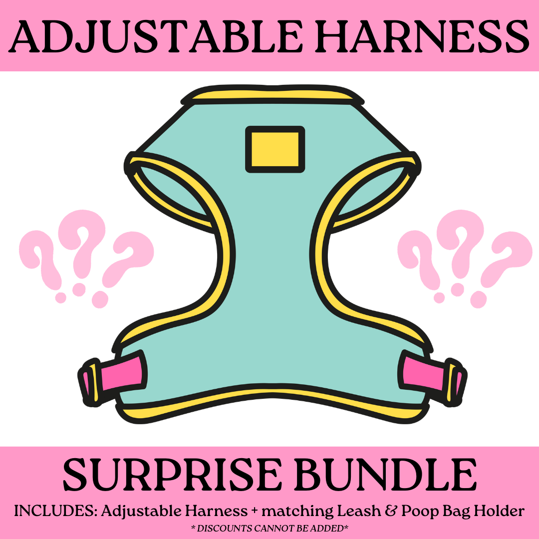 SURPRISE BUNDLE: Adjustable Harness + Leash + Poop Bag Holder (NON-RETURNABLE)