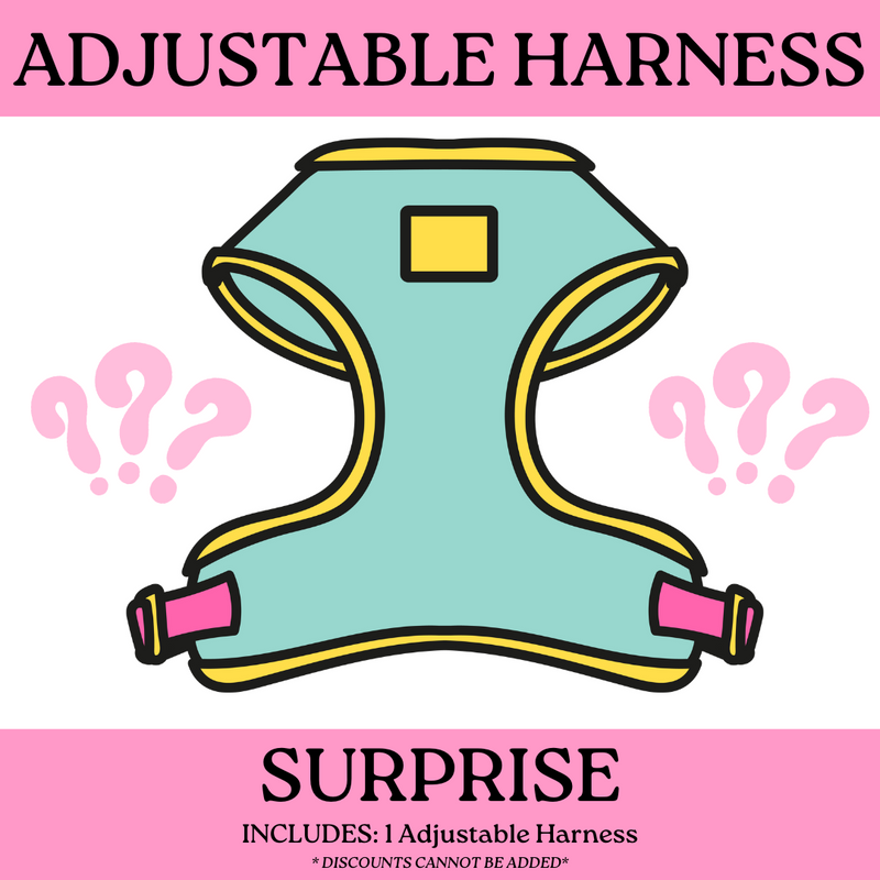 SURPRISE: Adjustable Harness (NON-RETURNABLE)