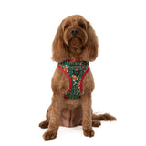 ADJUSTABLE DOG HARNESS (WITH NECK CLIP): A Beary Merry Christmas