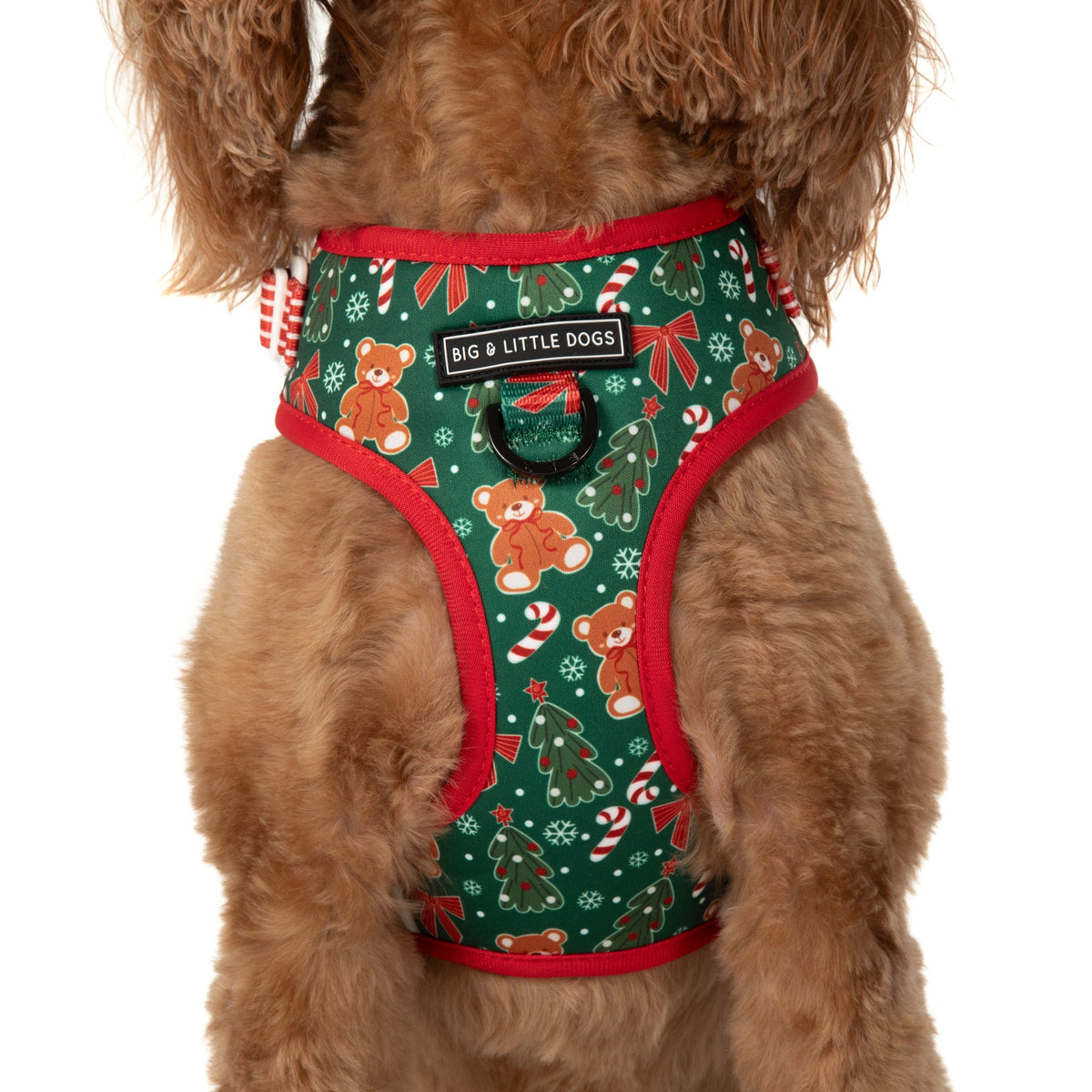 ADJUSTABLE DOG HARNESS (WITH NECK CLIP): A Beary Merry Christmas