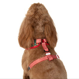 ADJUSTABLE DOG HARNESS (WITH NECK CLIP): A Beary Merry Christmas