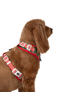ADJUSTABLE DOG HARNESS (WITH NECK CLIP): A Beary Merry Christmas