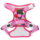 THE ALL-ROUNDER DOG HARNESS: Beary Sweet