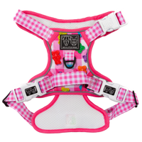 THE ALL-ROUNDER DOG HARNESS: Beary Sweet