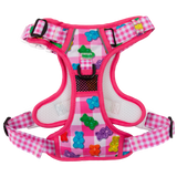 THE ALL-ROUNDER DOG HARNESS: Beary Sweet (NEW!)