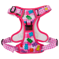 THE ALL-ROUNDER DOG HARNESS: Beary Sweet (NEW!)