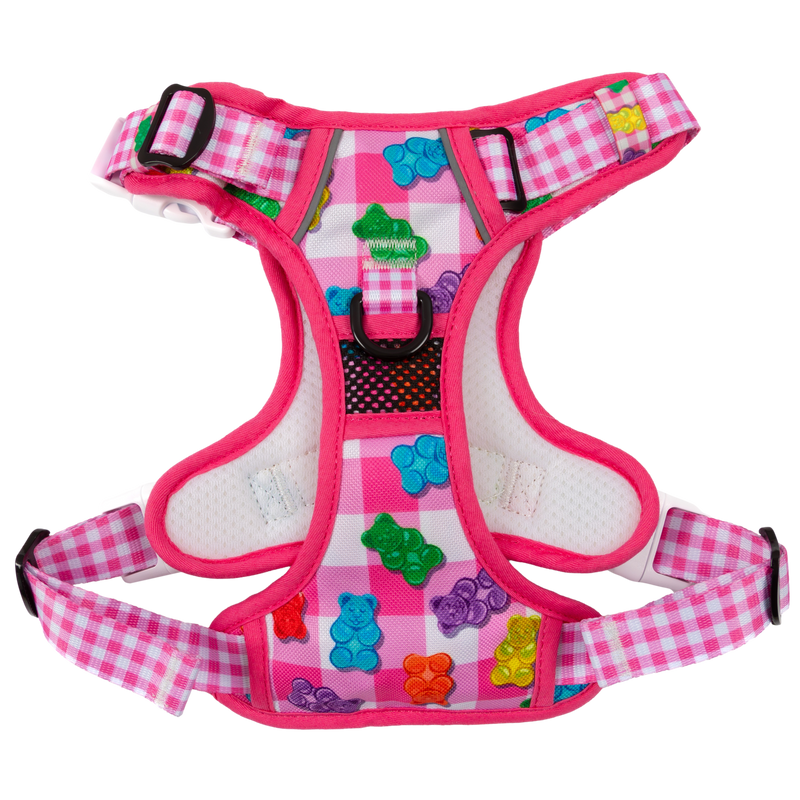 THE ALL-ROUNDER DOG HARNESS: Beary Sweet (NEW!)