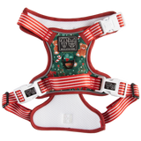 CHRISTMAS EXTRAVAGANZA BOX: "A Beary Merry Christmas" (All-Rounder Harness & Collar)