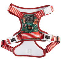 CHRISTMAS EXTRAVAGANZA BOX: "A Beary Merry Christmas" (All-Rounder Harness & Collar)
