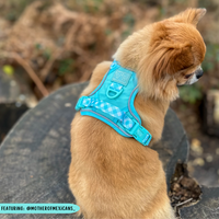 THE ALL-ROUNDER DOG HARNESS: Aqua