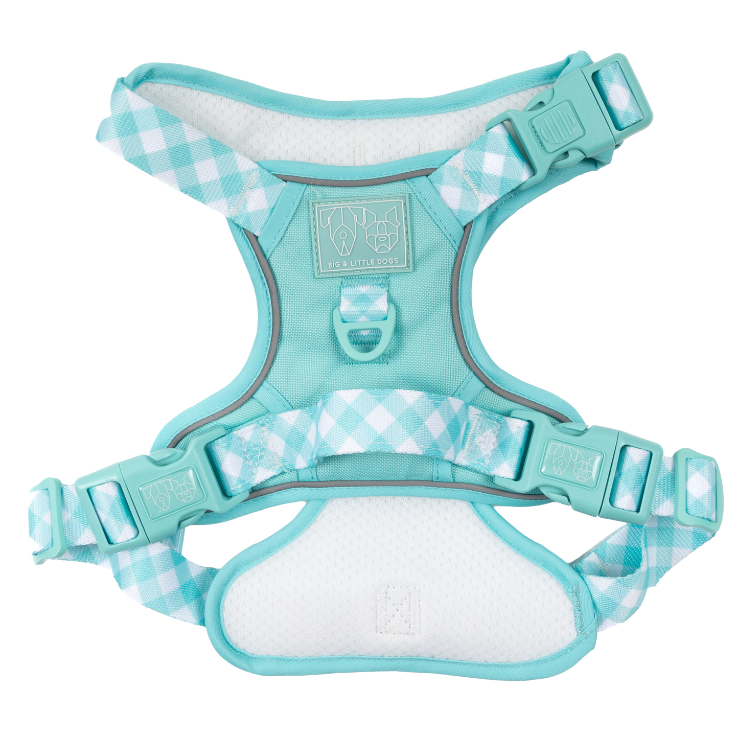 THE ALL-ROUNDER DOG HARNESS: Aqua