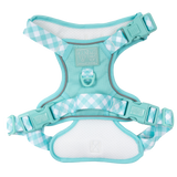 THE ALL-ROUNDER DOG HARNESS: Aqua