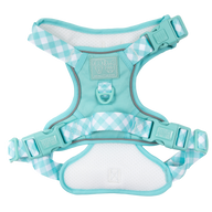 THE ALL-ROUNDER DOG HARNESS: Aqua