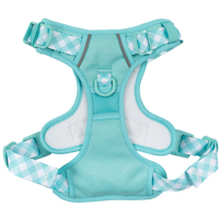 THE ALL-ROUNDER DOG HARNESS: Aqua