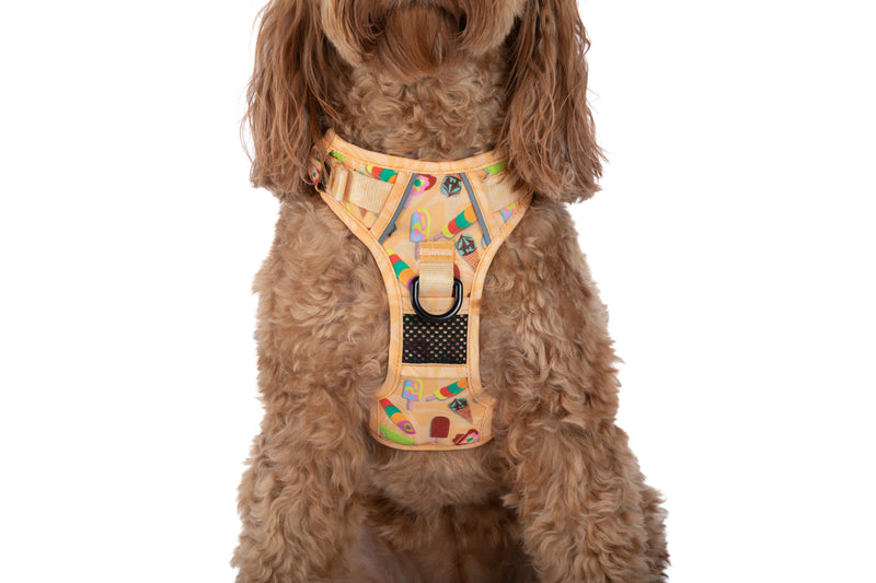 THE ALL-ROUNDER DOG HARNESS: Aussie Faves