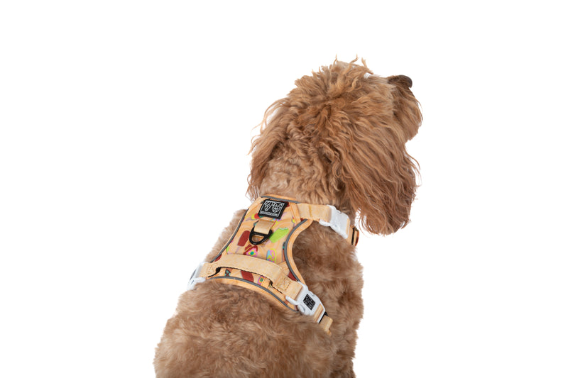 THE ALL-ROUNDER DOG HARNESS: Aussie Faves