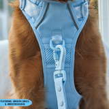 THE ALL-ROUNDER DOG HARNESS: Blue