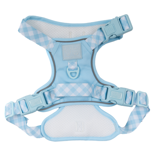 THE ALL-ROUNDER DOG HARNESS: Blue
