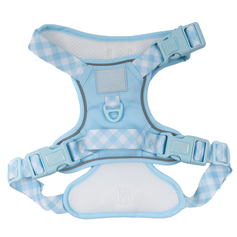 THE ALL-ROUNDER DOG HARNESS: Blue (NEW!)