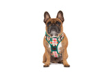 THE ALL-ROUNDER DOG HARNESS: Candy Lane Plaid