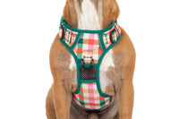 THE ALL-ROUNDER DOG HARNESS: Candy Lane Plaid