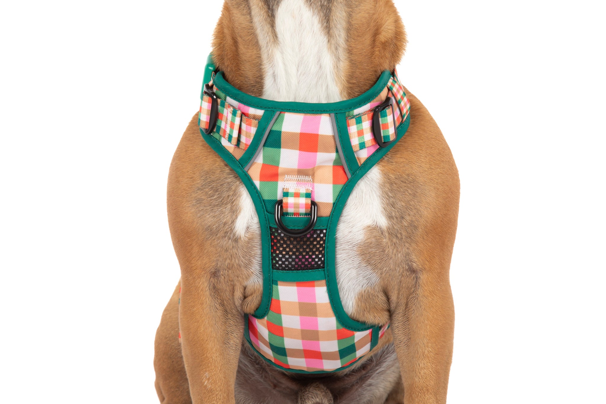 THE ALL-ROUNDER DOG HARNESS: Candy Lane Plaid