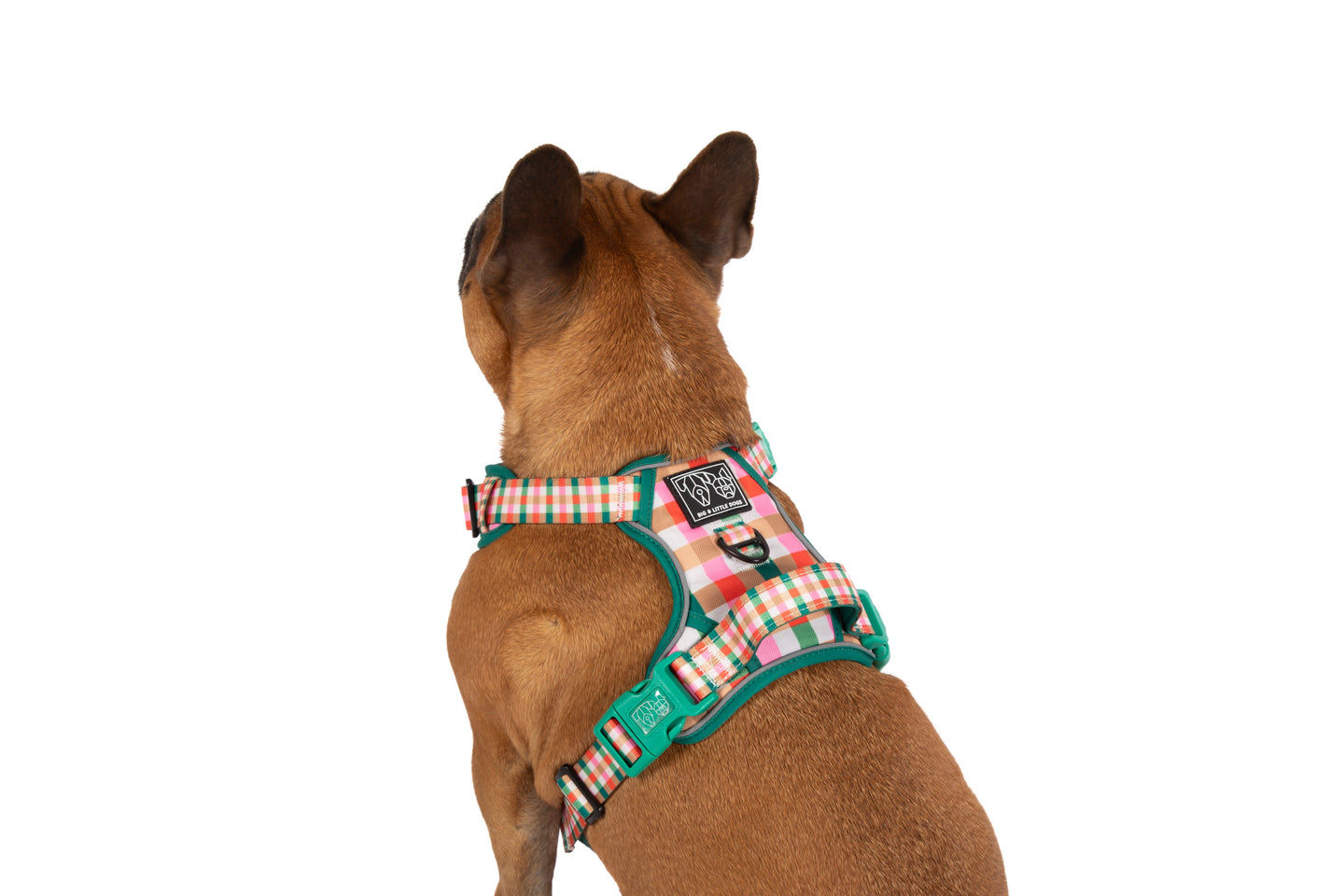 THE ALL-ROUNDER DOG HARNESS: Candy Lane Plaid