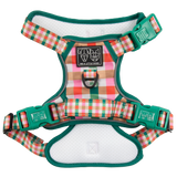 CHRISTMAS EXTRAVAGANZA BOX: "Candy Lane Plaid" All-Rounder Harness & Collar