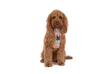 THE ALL-ROUNDER DOG HARNESS: Christmas Gingerbread {FINAL SALE}